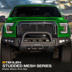 1999-2004 Ford Super Duty Bull Guard w/ Mesh Skid Plate - Matte Black