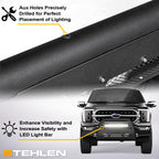 97-03 Ford F-150 F-250 Expedition Bull Guard Combo w/ LED Bar