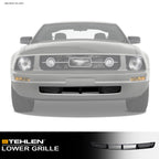2005-2009 Ford Mustang V6 Pony Package Front Lower Bumper Grille